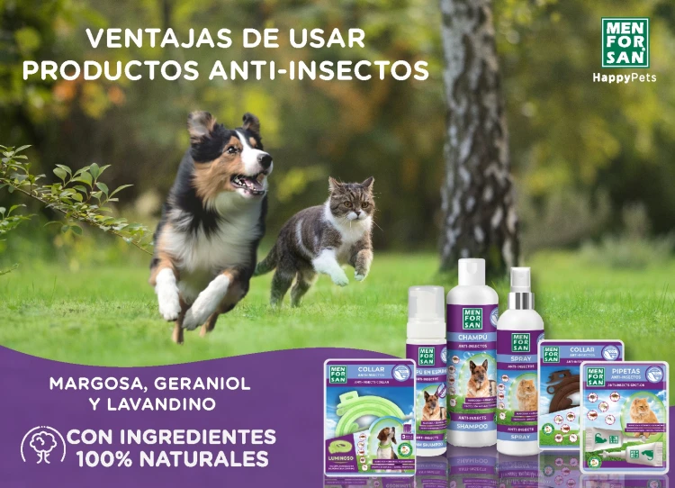 VENTAJAS DE USAR LOS PRODUCTOS ANTI-INSECTOS DE MENFORSAN